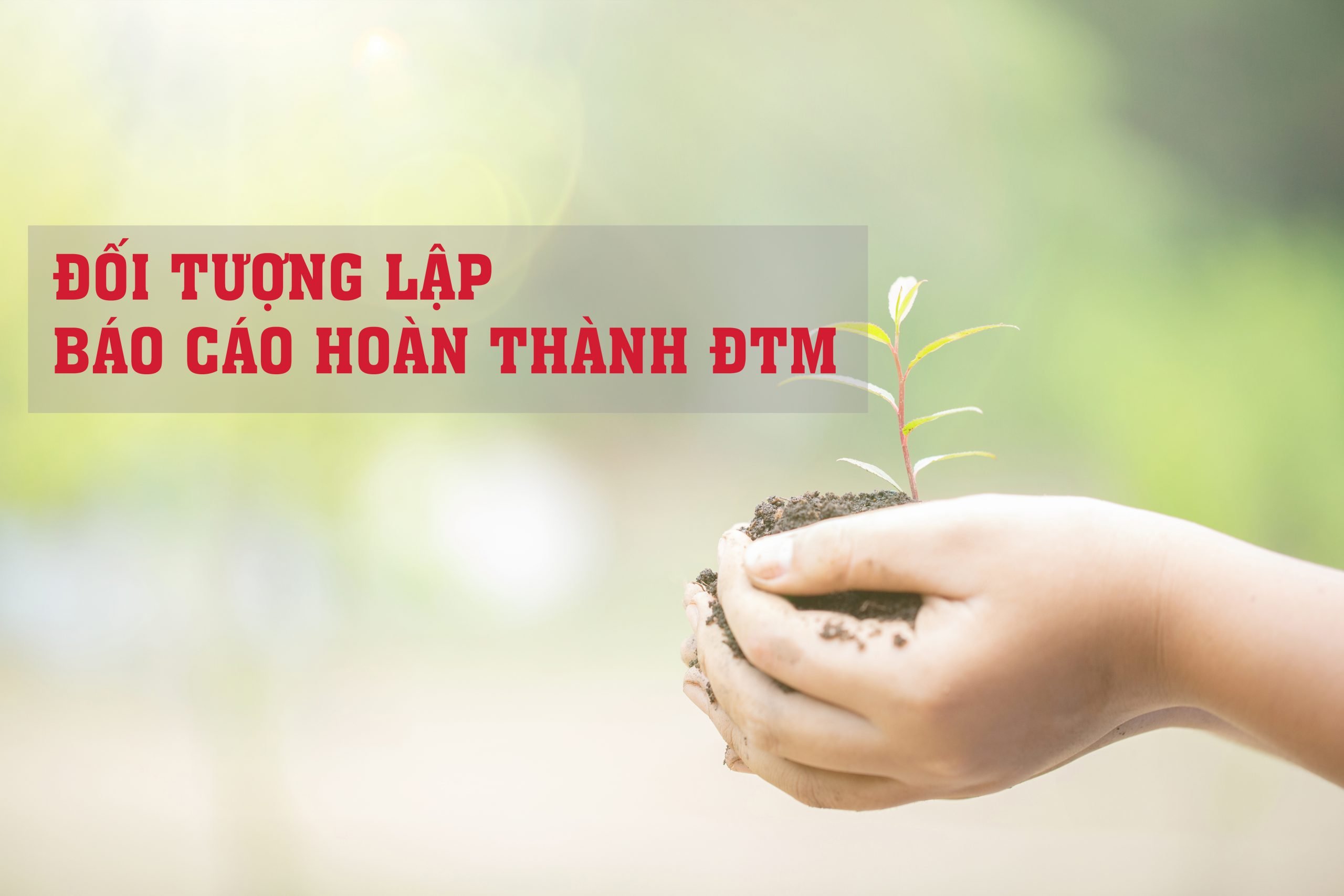 đối tượng lập báo cáo hoàn thành đtm