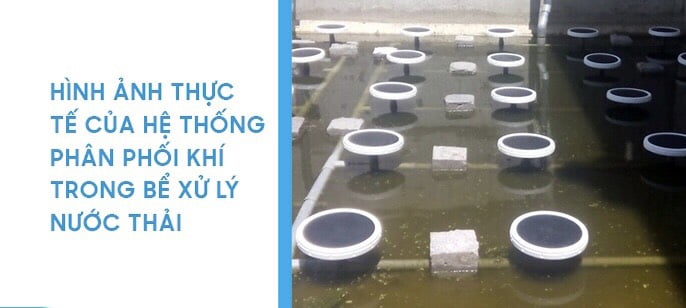 Đĩa thổi khí trong xử lý nước thải