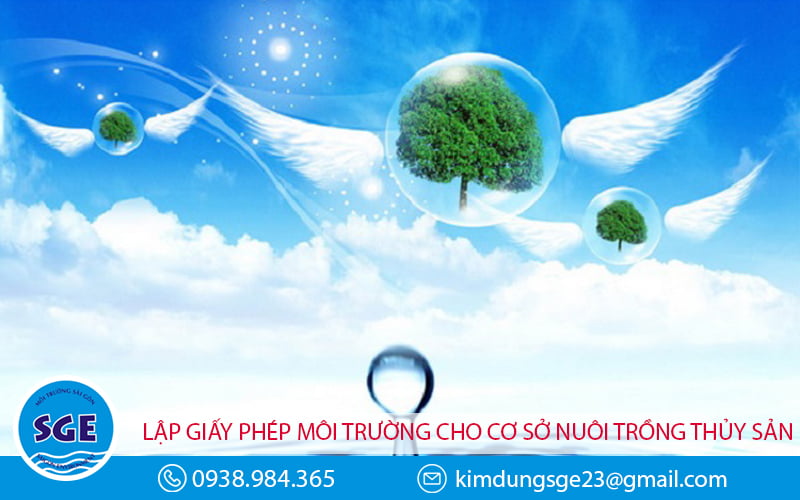 giấy phép môi trường