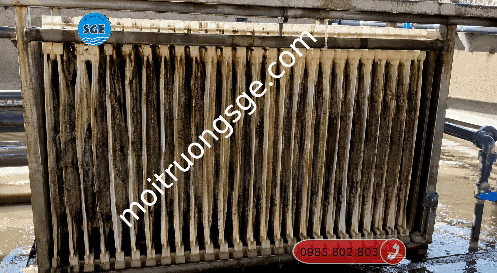 Màng lọc MBR bị tắc nghẽn